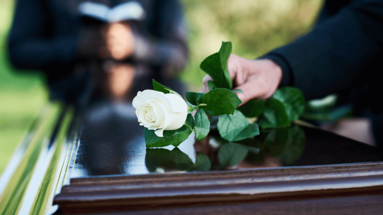 Οι Υπηρεσίες μας